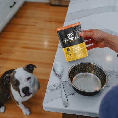Booster Joint Care Minced Chicken with Gravy Wet Dog Food, 2.8-oz pouch, 12 count