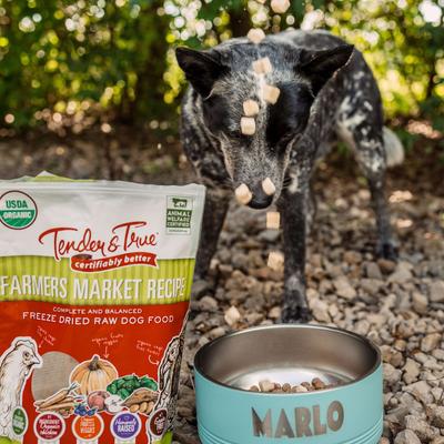 Farmers Market Recipe Freeze-Dried Raw Dog Food, 1-lb bag