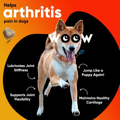 Hip & Joint Lamb Flavored Soft Chew Joint Supplement for Dogs, 90 count