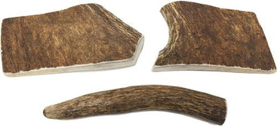 Moose Antler Dog Treats, Medium