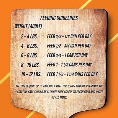 Market Fresh Turkey & Guineafowl Wet Cat Food, 5.5-oz can, case of 24