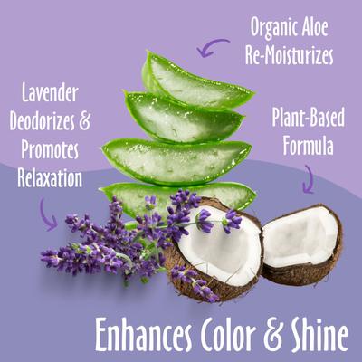 Light Color Coat Brightening Lavender Dog & Cat Shampoo, 16-fl oz bottle