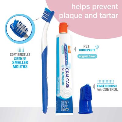 Bundle: Nylabone Advanced Oral Care Puppy Dental Kit + N-Bone Teething Treats