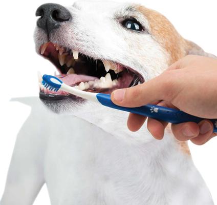Bundle: Nylabone Advanced Oral Care Puppy Dental Kit + N-Bone Teething Treats
