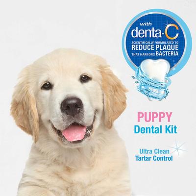 Bundle: Nylabone Advanced Oral Care Puppy Dental Kit + N-Bone Teething Treats