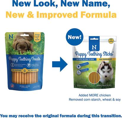 Bundle: Nylabone Advanced Oral Care Puppy Dental Kit + N-Bone Teething Treats