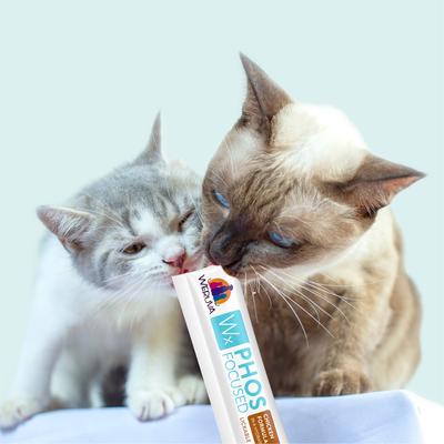 Wx Phos Focused Chicken Formula Grain-Free Lickable Cat Treats, 0.5-oz tube, 5 count