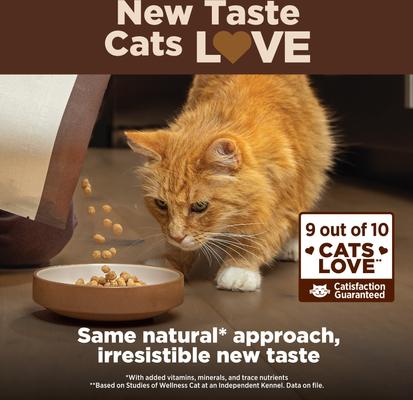 CORE+ Hairball Chicken Grain-Free Natural Dry Cat Food, 4.75-lb bag