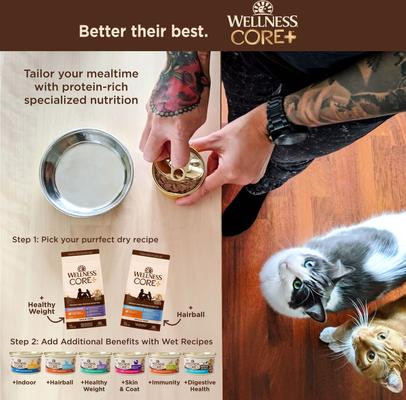 CORE+ Hairball Chicken Grain-Free Natural Dry Cat Food, 4.75-lb bag