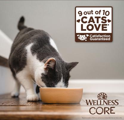 CORE+ Hairball Chicken Grain-Free Natural Dry Cat Food, 4.75-lb bag