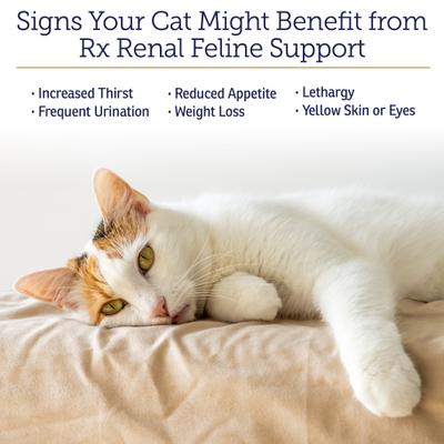 Rx Renal Capsules Kidney Supplement for Cats, 120 count