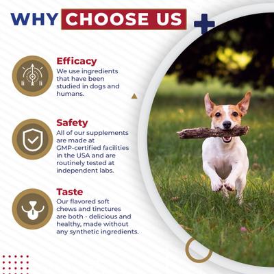 Cardio Heart Health Chicken Flavored Tablets Supplements for Cats & Dogs, 120 count