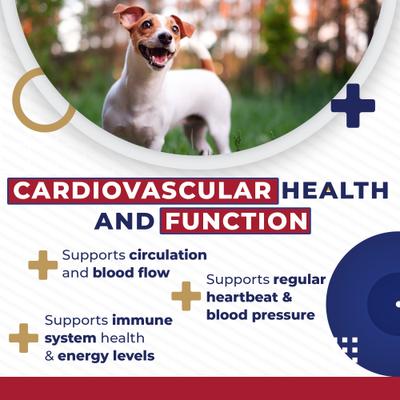 Cardio Heart Health Chicken Flavored Tablets Supplements for Cats & Dogs, 120 count