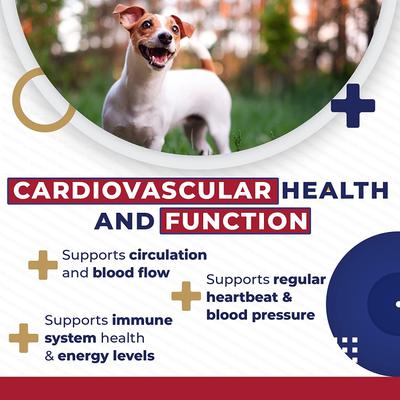 Cardio Heart Health Chicken Flavored Tablets Supplements for Cats & Dogs, 120 count