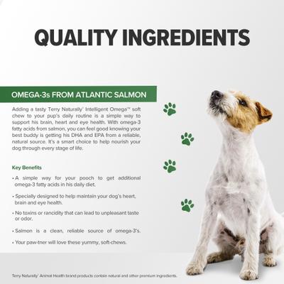 Intelligent Omega Dog Supplement, 60 count