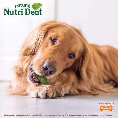 Nutri Dent Limited Ingredients Large Fresh Breath Natural Dental Dog Treats, 20 count