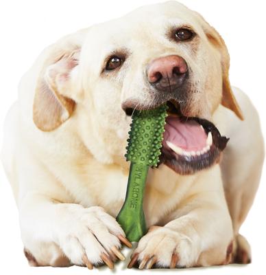 Nutri Dent Limited Ingredients Large Fresh Breath Natural Dental Dog Treats, 20 count