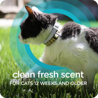 Guardian Pro Flea & Tick Cat Collar