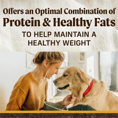 Grain-Free Dry Dog Food Healthy Weight Recipe, 22-lb bag