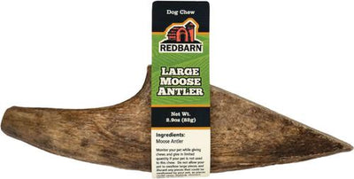Palm Moose Antler Dog Chew, Large, 1 count