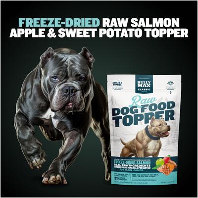 Salmon High Protein Freeze-Dried Raw Dog Food Topper, 7-oz pouch