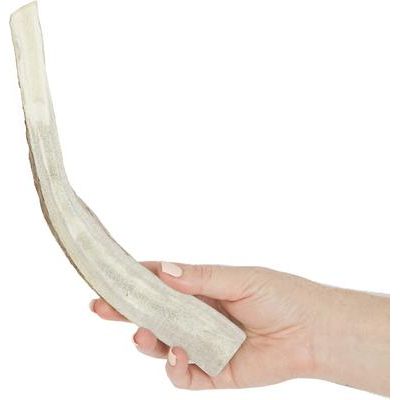 Masticables para perros de asta de alce partida, 9,5-10,5 pulgadas