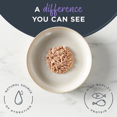 Natural Grain-Free Fish & Chicken Broth Flavored Variety Pack Wet Cat Food, 2.47-oz pouch, case of 12