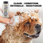 Four In One Calming Dog Shampoo, Lavender Scent, 24-fl oz bottle