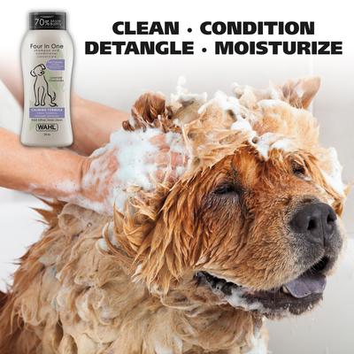 Four In One Calming Dog Shampoo, Lavender Scent, 24-fl oz bottle
