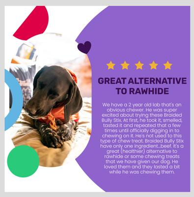 Free Range Braided 6-in Bully Stix Dog Treats, 3 count