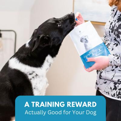 Ketona Single Ingredient Chicken Liver Flavor Freeze-Dried Dog Treats, 2-oz bag