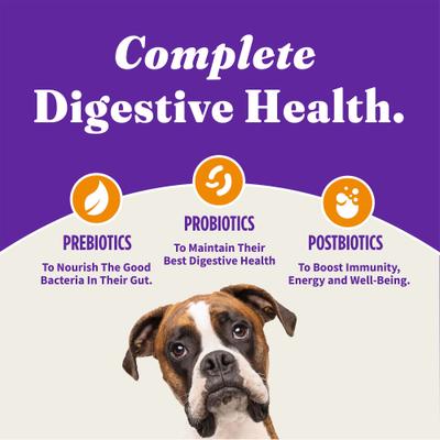 Alimento seco para perros adultos Holistic Complete Digestive Health, sin cereales, con pollo y batata, bolsa de 1,6 kg