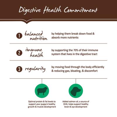 Large & Giant Breed Puppy Health Lamb Meal & Oatmeal Recipe Dry Dog Food, 30-lb bag