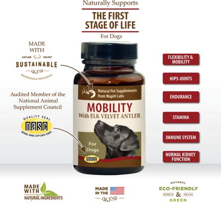 Mobility Formula Dog Powder Supplement, 0.53-oz bottle