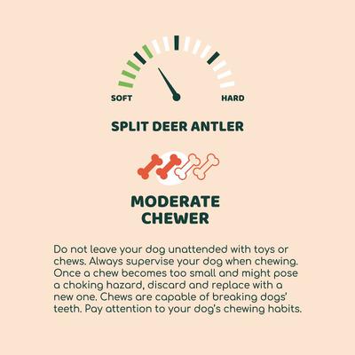 Grade A Premium Split Deer Antler Dog Chew, Large
