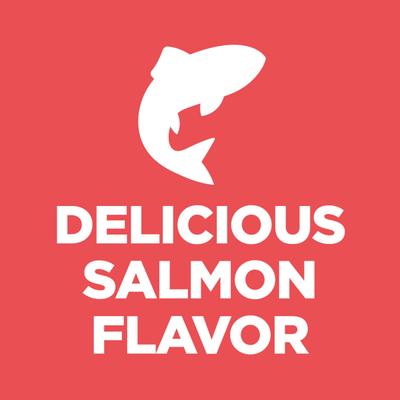 Adult Sensitive Stomach & Sensitive Skin Salmon & Vegetable Entree Minced Wet Cat Food, 2.9-oz can, 24 count