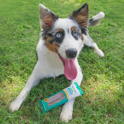 Better Bully Beef Flavor Plant-Based Dog Chews, Small, 2 count