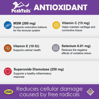 Antioxidant Tablet Supplement for Dogs, 100 count