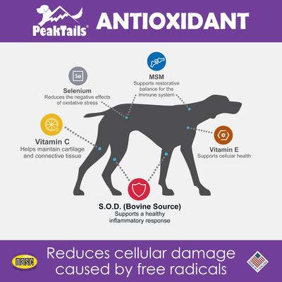 Antioxidant Tablet Supplement for Dogs, 100 count