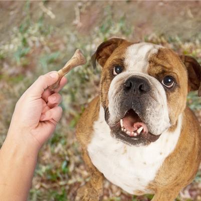 Broth Bones for Small Dogs, 20 count