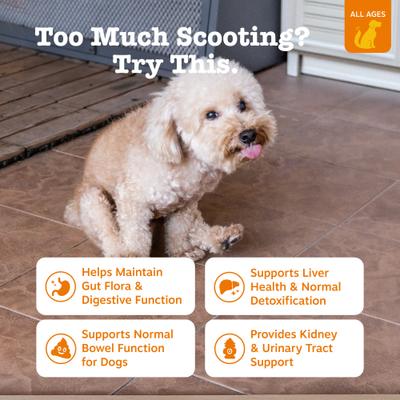 Scoot Away Bites Out Health, Suplemento digestivo, sabor Pollo, Perros. 90 chews