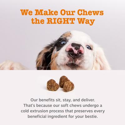Scoot Away Bites Out Health, Suplemento digestivo, sabor Pollo, Perros. 90 chews