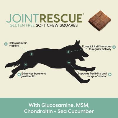 Joint Rescue Lamb Flavored Soft Chew Joint Supplement for Dogs, 9-oz bag