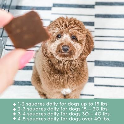 Joint Rescue Lamb Flavored Soft Chew Joint Supplement for Dogs, 9-oz bag