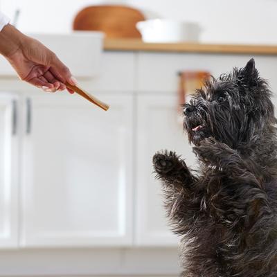 Rawhide-Free, Rolled Sticks, Skin & Coat Chew, with Natural Chicken Flavor Dog Treats, 16 count