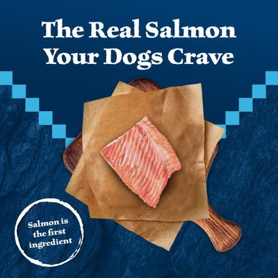 Wilderness Trail Treats Wild Bits Salmon Recipe Grain-Free Dog Training Treats, 4-oz bag