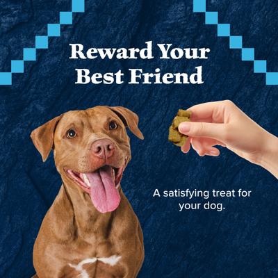 Wilderness Trail Treats Wild Bits Salmon Recipe Grain-Free Dog Training Treats, 4-oz bag