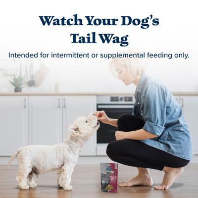 Wilderness Trail Treats Wild Bits Salmon Recipe Grain-Free Dog Training Treats, 4-oz bag