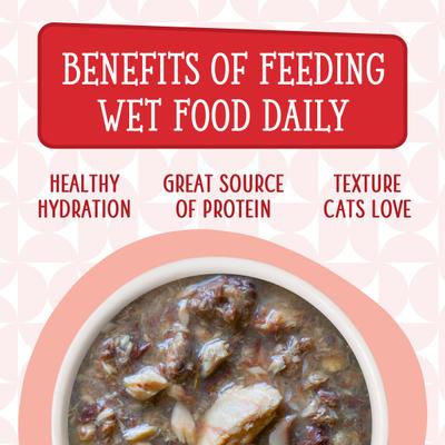 Cats in the Kitchen Mack, Jack & Sam Salmon, Mackerel & Tuna Recipe Grain-Free Cat Food Pouches, 3-oz pouch, case of 12