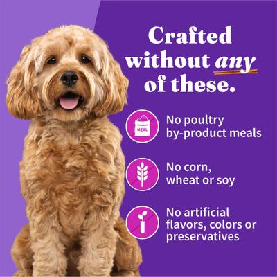 Turkey & Duck Recipe Grain-Free Small Breed Canned Dog Food, 5.5-oz, case of 12